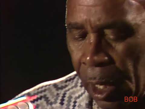 Sunnyland Slim (LIVE VIDEO Berlin 1974)
