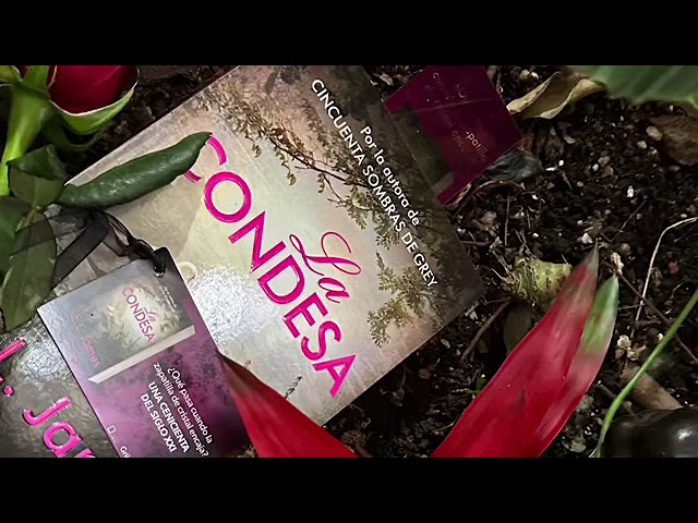 Vídeo relacionado con La condesa (Mister 2) (Best Seller | Ficción)
