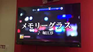 【カラオケ】メモリーグラス（堀江淳）