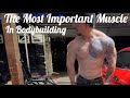THE Most Important Muscle In Bodybuilding - My Shoulder and Tricep Routine
