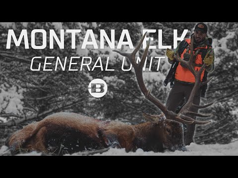 WHITE OUT: General Unit Montana Elk with 6.5 PRC