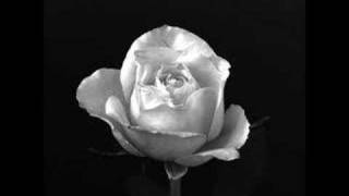 Djavan Pétala - Ao vivo Disco 2