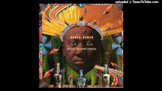 Carlinhos Brown - Capitao do Asfalto