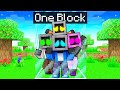 Locked on ONE BLOCK with TEEVEE FAMILY in Minecraft!