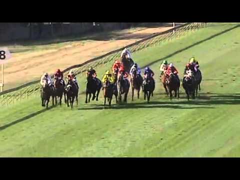 2014.05.24 S A Fillies Sprint - Via Africa