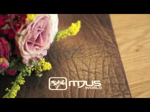 Aparthotel at Mjusworld