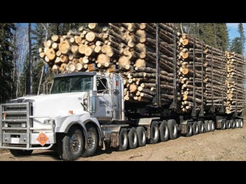 Amazing Fastest Skill Biggest Logging Truck Working - Heavy Chainsaw Tree Felling  Wood Crusher