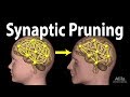 Synaptic Pruning, Animation