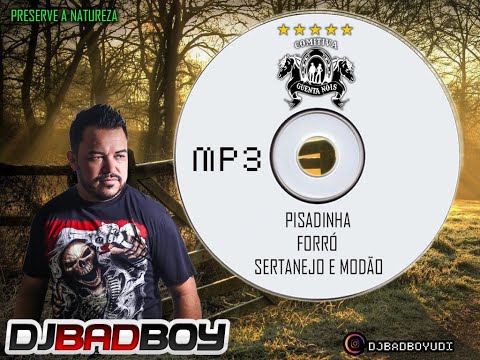 Cd Completo Comitiva Guenta Nóis - Pisadinha