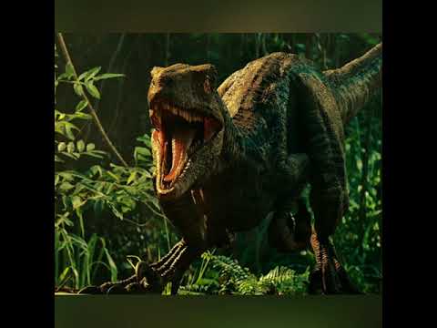 Shere Khan (JB 2016) vs Blue(JW)! Who wins? Enjoy!