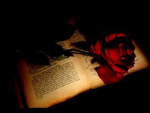 Miss Maniaq Ft Mc Selçuk - Söyle Hadi New New