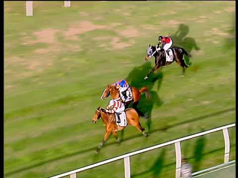 Galoppo 15/12/2019 - 1ª corsa