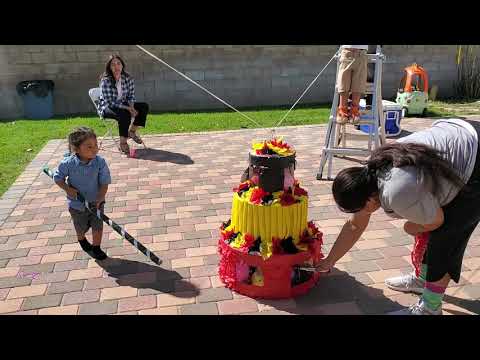 Meekos piñata hits 2nd birthday 🎂