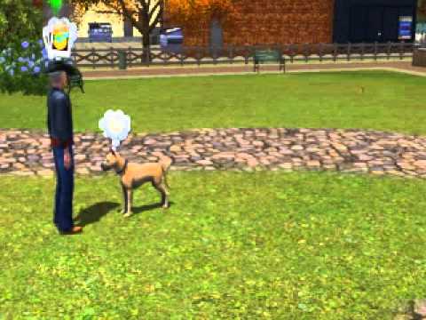 Les Sims : Entre Chiens et Chats PC