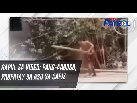 SAPUL SA VIDEO: Pang-aabuso, pagpatay sa aso sa Capiz TV Patrol