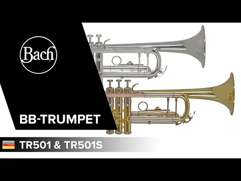 Bach TR-501 Bb-Trompete