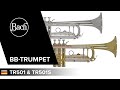 Bach TR501 Bb-Trompete thumbnail 9
