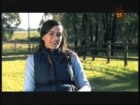 Ciudad de Soca en ENTORNOS