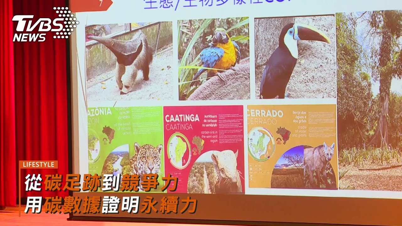 全球企業永續論壇 從碳足跡到競爭力用碳數據證明永續力