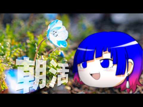 【朝活】朝活がすべての行動の基本的な鍵【56日目】 【#語手ルノ】