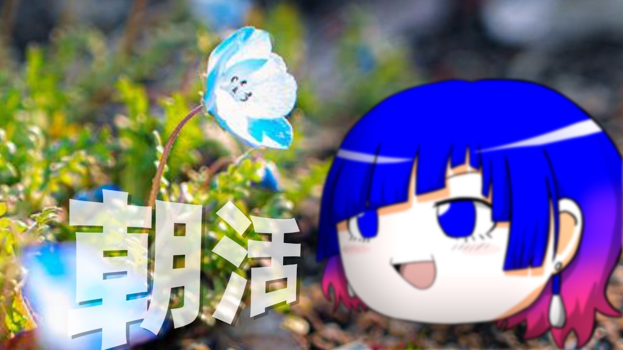 【朝活】朝活がすべての行動の基本的な鍵【56日目】　【#語手ルノ】