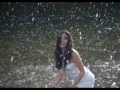 Niciton-Ynag tsetseg (Янаг цэцэг)