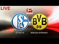 Erling Haaland Goal Schalke 04 0 - 4 Borussia Dortmund goal hd bundesliga
