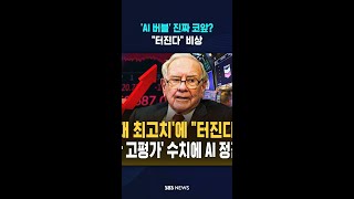 'AI 버블' 진짜 코앞? #shorts
