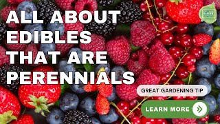 Harvest Happiness! Experts Share Secrets of Easy Edible Perennials - Webinar Replay