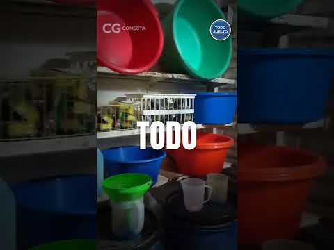 Todo Suelto · Artículos de limpieza en Campo Gallo #Shorts