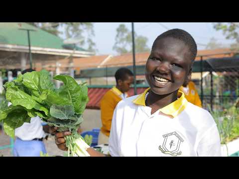 Growing knowledge, growing nutrition: a hydroponic journey in Kampala