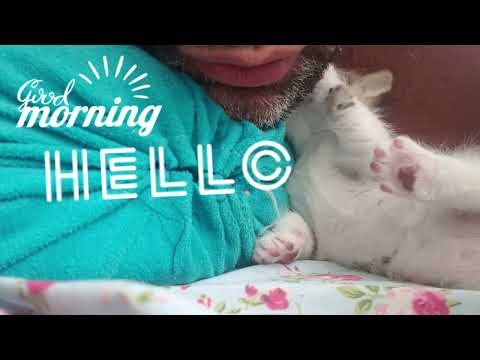 ۱۳ اوت ۲۰۲۳