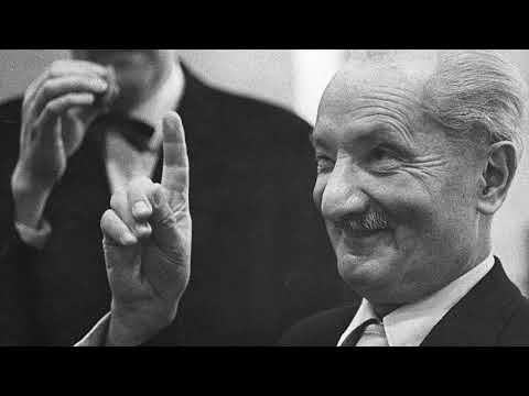 Heidegger's Contributions to Philosophy