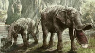 10 Nightmarish Animals you will be Happy are Extinct 10 Nightmarish Animals you will be Happy are Extinct