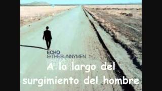 Echo &amp; The Bunnymen - Lost On You (Subtitulada)