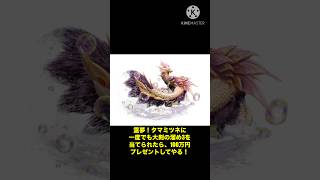 タマミツネ・ギャンブル #モンハン #mhxx #タマミツネ　#ゆっくり茶番