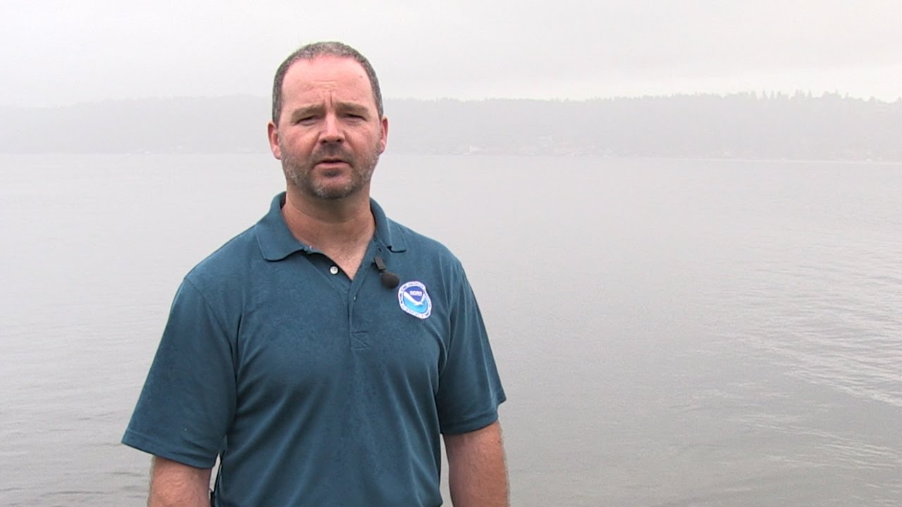 NOAA Diver: Check Out Skills Part 1 - Introduction