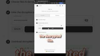 Hat.sh Encryption Web App