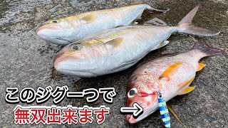 これ1つあれば釣れる！ジグパラスローを深堀りしてみた。【ショアジギングで使うルアーはこのジグに限る】