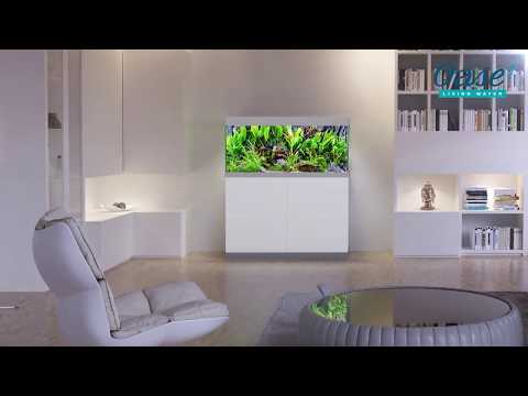 Watch Video on YouTube