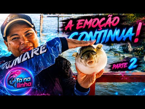 A DIVERSÃO CONTINUA EM SÃO CAETANO DE ODIVELAS - PARTE 2