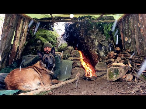 3 Tage Wintercamp in der Wildnis mit meinem Hund - Bushcraft Shelter Camping