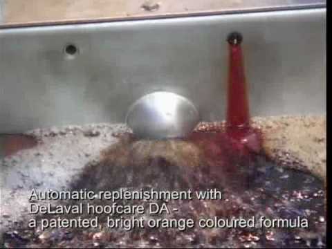 DeLaval Footbath AFB1000 | DeLaval Automated Milking Solutions | DeLaval