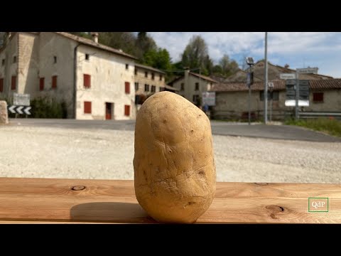 La Patata di Pagnano diventa De.co e dal 1870 il suo segreto sta nella terra