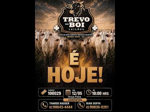 LEILÃO  TREVO DO BOI LEILOES 12/05/2026 - MUNDO NOVO-GO