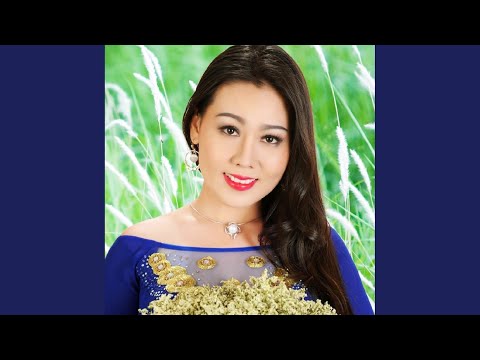 Khúc tình ca Ngã Bảy - Lưu Ánh Loan