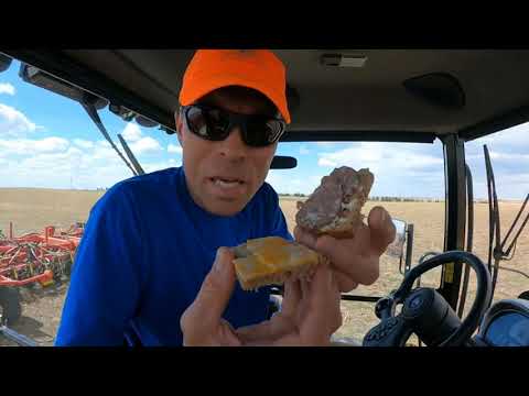 Pass the Grey Poupon