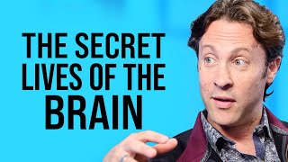 The New Structure of Infinite Possibility  | David Eagleman on Impact Theory