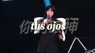 Download lagu [ENG] 你的眼神 (your eyes/gaze) - Liu Yuning [Live Concert] |  ENGLISH LYRICS mp3