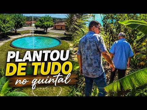 Eu nasci aqui nessa cidade! O quintal do meu pai parece uma fazenda. Ele planta de tudo no quintal!